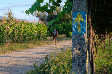 Gelber Pfeil und Pilger auf dem Jakobsweg (von Porto nach Santiago de Compostela)