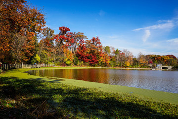 Obraz premium Autumn Lakeside