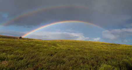 Fototapeta premium arcobaleno