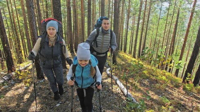 Family travels. People environment by mountains, rivers, streams. Parents and kids walk using trekking poles. Man and woman have professional hiking backpacks, flasks, mugs and other equipment. Dad