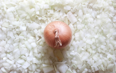 CEBOLLA SIN PELAR SOBRE BASE DE CEBOLLAS CORTADAS