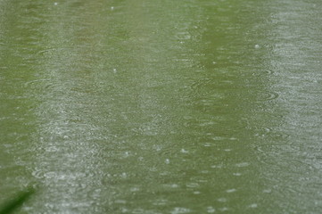 Rain falling in the water