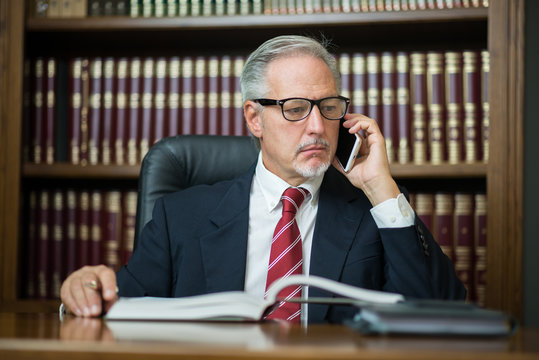 Businessman using his mobile phone while reading his agenda