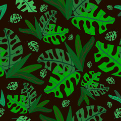 Tropical plants of green colors on a gray color