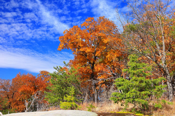 Autumn colors atop Stone Mountain, located in Stone Mountain State Park near Roaring Gap, North Carolina © Sean  Board