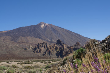 Fototapeta na wymiar Los Roques De Garcia in the Canadas of Teide Natoinal Park