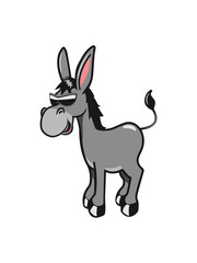 esel süss lachen tier muli lustig natur baby kind vierbeiner muli grautier sonnenbrille mehrfarbig