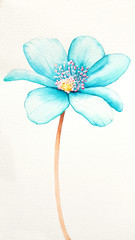 Close-up of Blue Flower Petals, Flower watercolor, Flower wallpaper, Petal, Flower watercolor illustration.