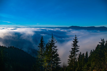 Carpathians in the fog