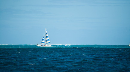 Yacht with blue and white sail far in the distance in Hawaii with blue sky and calm ocean