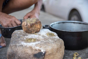 Licuri do nordeste brasileiro