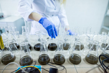 Hands of the scientist in laboratory shake a glass flasks with dissolved samples of the soil....