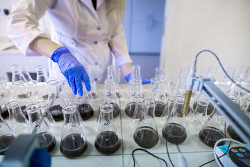 Hands of the scientist in laboratory shake a glass flasks with dissolved samples of the soil....