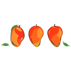 Mango set. Mango ripe mango unripe. Single Mango (typical red/yellow green version - with a little stem. Leaves near. Vector