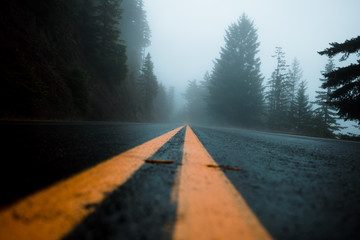 A remote road leading though the dense forest fog of the Olympic National Park in Washington state on a cool morning - Powered by Adobe