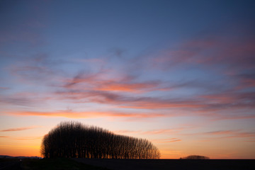 sunset over field