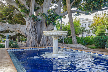 Alameda de Apodaca with giant Ficus trees, a fountain and a pool decorated with Seville ceramic tiles  in Cadiz, Spain - obrazy, fototapety, plakaty