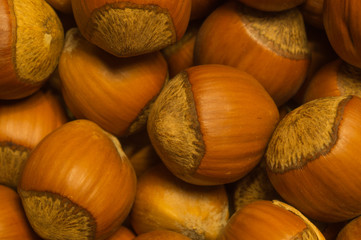 Hazelnut. Filbert. Nuts macro. Food background