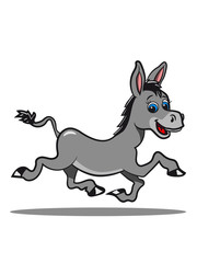 esel süss lachen tier muli lustig natur baby kind vierbeiner laufen freude muli grautier 0c