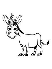 esel süss lachen tier muli lustig natur baby kind vierbeiner karotte muli grautier 1c