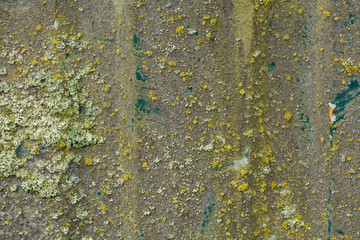 Sheet metal with traces of green Moss