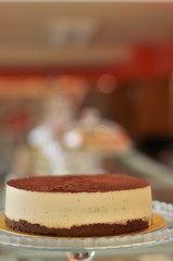 Delicious Tiramisu Cake