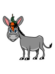 esel süss lachen tier muli lustig natur baby kind vierbeiner karotte muli grautier 0c