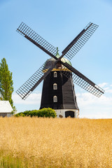 Wheat windmill. Harvest concent. The Stock Photo.