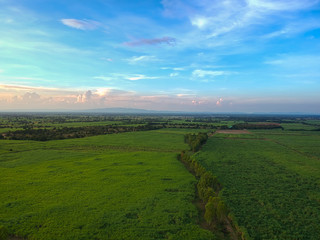 Fototapeta na wymiar view from drone Sugar cane field with sunset sky nature landscape background.