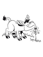 esel süss blume riechen cool tier muli lustig natur vierbeiner muli grautier einfarbig