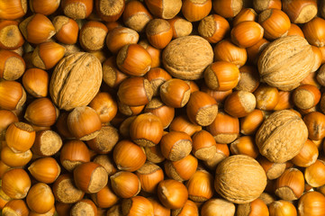 Hazelnuts and walnuts background