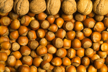 Hazelnuts and walnuts background