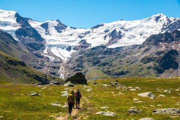 Fototapeta na wymiar Mountaineers walking to Forni glacier, Stelvio National Park, Italy