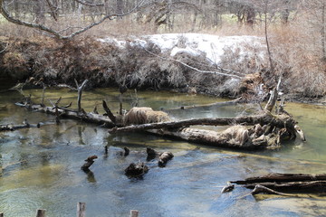 日光　戦場ヶ原　池