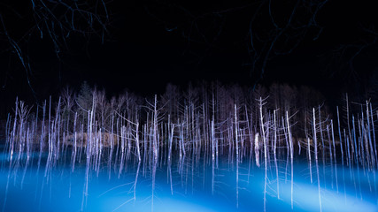 ライトアップされた凍結前の青い池