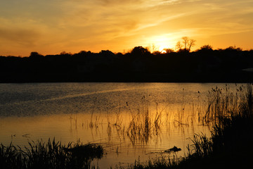 Obraz premium Природа