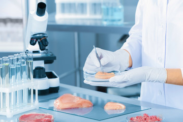 Scientist holding Petri dish with meat sample over table in laboratory