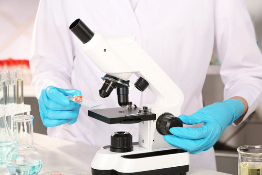 Scientist inspecting forcemeat sample with microscope in laboratory