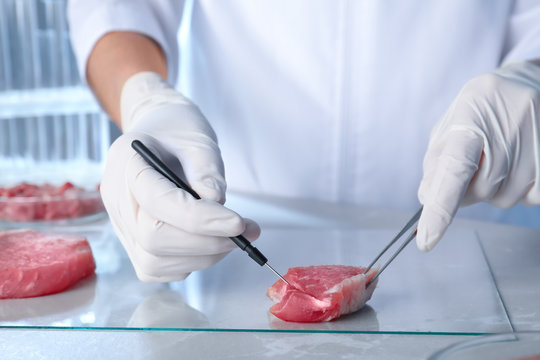 Scientist inspecting meat sample in laboratory, closeup. Food quality control