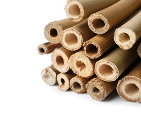 Obraz na płótnie Canvas Pile of dry bamboo sticks on white background