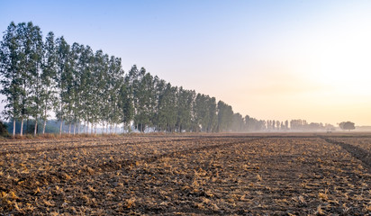 View of a farm in India winter morning. 