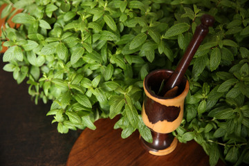 mortar and pestle with herbs and spices