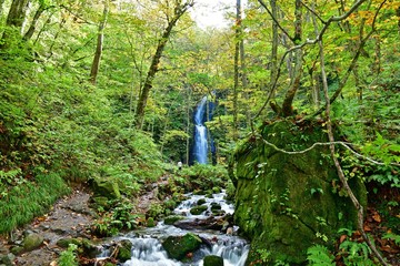 奥入瀬渓流で見た滝の情景