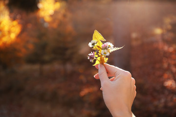 Woman holding wild flowers in hand on blurred sunny background