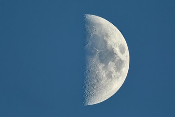 Moon First Quarter detailed closeup - obrazy, fototapety, plakaty