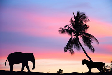 Elephants and tigers are walking home On the day the sun goes down, the colors are beautiful. Black silhouette