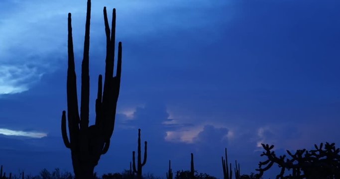 Morning Desert Storm