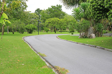 Road in the park with tree around. Peaceful green park and way for exercise and relax.