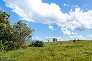 Obraz premium 北海道美瑛の風景