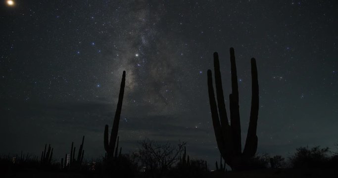 Cardon Milky Way Core